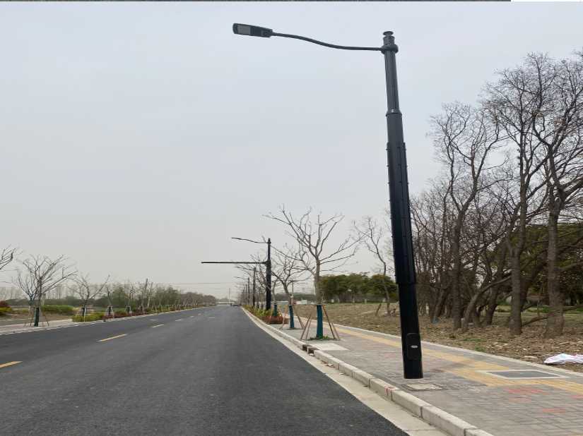西岗区上海综合杆 太阳能路灯工程